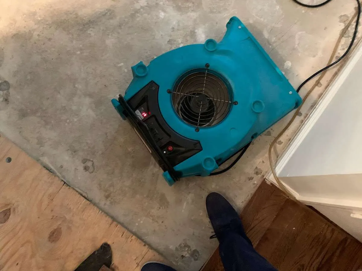 Air mover drying subfloor during Commercial Water Damage Restoration in White Knoll